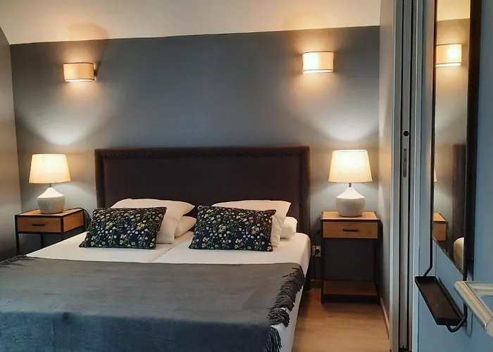 50m Du Centre Historique Lejlighed *